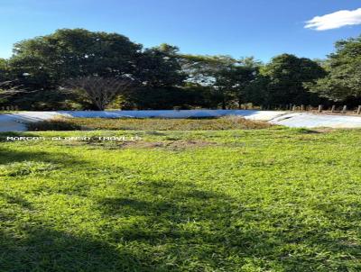 S�tio para Venda, em Vit�ria da Conquista, bairro Esp�rito Santo
