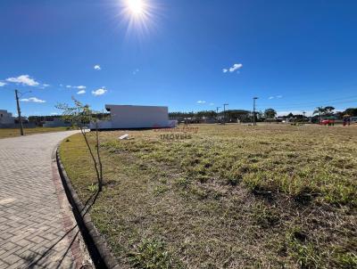 Terreno para Venda, em Passo de Torres, bairro Jardim Am�rica