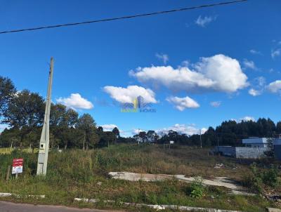 Terreno para Venda, em Garibaldi, bairro Alf�ndega