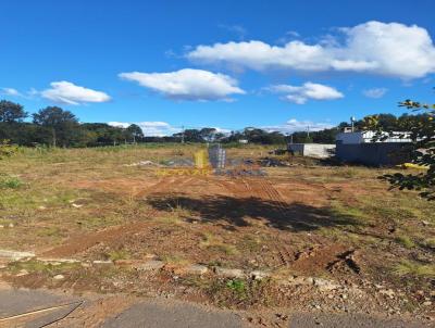 Terreno para Venda, em Garibaldi, bairro Alf�ndega