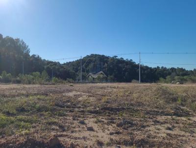 Terreno para Venda, em Pi�n, bairro Avencal