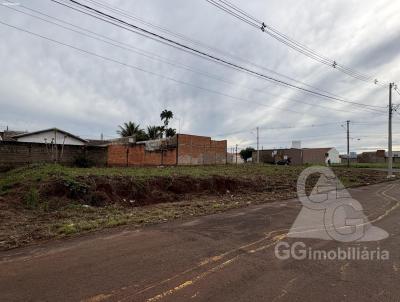 Terreno para Venda, em Altin�polis, bairro Jardim Luiza