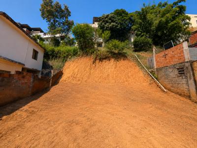Terreno para Venda, em Muria�, bairro Cer�mica