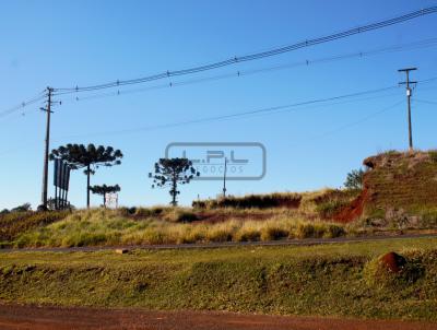 Terreno Comercial para Venda, em Laranjeiras do Sul, bairro 