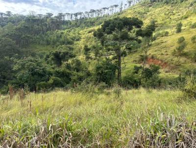 Ch�cara para Venda, em C�rrego do Bom Jesus, bairro 