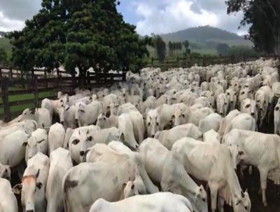Fazenda para Venda, em Caiap�nia, bairro 