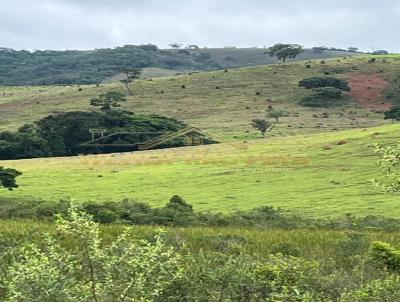 Fazenda para Venda, em Caxambu, bairro Localizada entre os munic�pios de Pouso Alto e Caxambu - MG