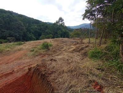 Terreno para Venda, em Cambori�, bairro Macacos
