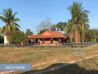 Fazenda para Venda, em Pedro Gomes, bairro 