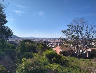 Terreno para Venda, em Florian�polis, bairro Ingleses do Rio Vermelho
