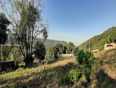 Terreno para Venda, em , bairro S�o Jac�