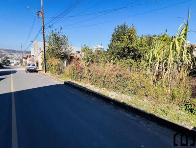 Lote para Venda, em Formiga, bairro Santa Tereza (Cristo)