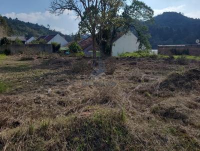 Terreno para Venda, em Pi�n, bairro Avencal