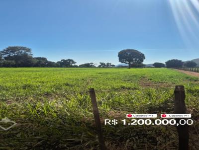S�tio para Venda, em C�ceres, bairro 