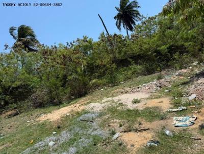 Terreno para Venda, em S�o Miguel dos Milagres, bairro 