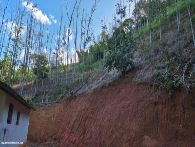 S�tio para Venda, em Santa Maria Madalena, bairro ALTO IMB�