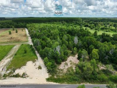 �rea para Venda, em Prado, bairro Zona Rural - Prado/BA