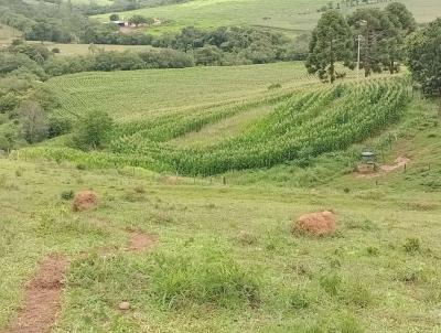 S�tio para Venda, em Jacu�, bairro Pinhal, 3 dormit�rios, 1 banheiro, 6 vagas