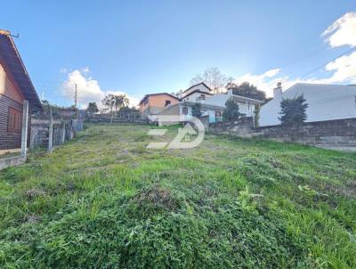 Terreno para Venda, em Caxias do Sul, bairro Ana Rech
