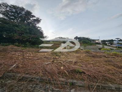 Terreno para Venda, em Caxias do Sul, bairro Ana Rech