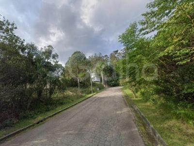 Terreno para Venda, em Florian�polis, bairro Jo�o Paulo