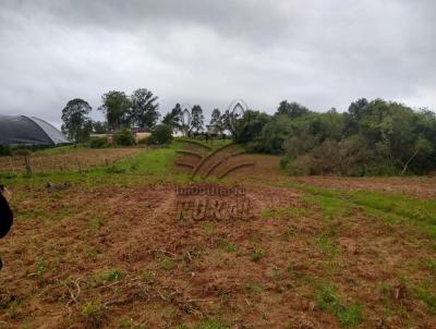 �rea Rural para Venda, em Cangu�u, bairro 3 distrito