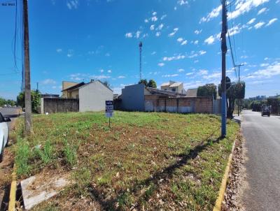 Terreno para Venda, em , bairro 