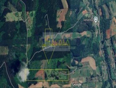 Terreno para Venda, em Aratiba, bairro �rea Rural, 3 dormit�rios, 2 banheiros, 1 vaga