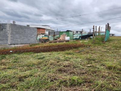 Terreno para Venda, em Mogi das Cruzes, bairro Vila Moraes