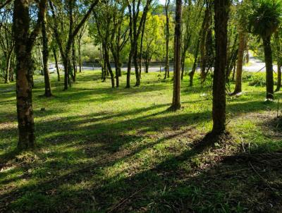 Terreno para Venda, em S�o Bento do Sul, bairro Centen�rio