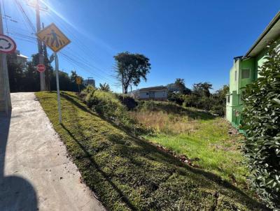 Terreno para Venda, em Conc�rdia, bairro Petr�polis