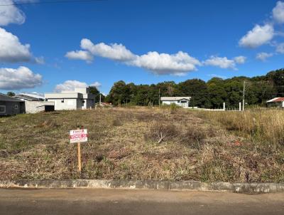 Terreno para Venda, em Conc�rdia, bairro Vila Jacob Biezus