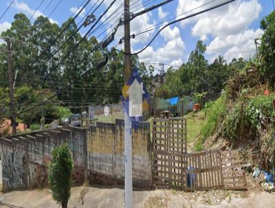 Terreno para Venda, em S�o Paulo, bairro Vila Carmosina