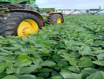 Fazenda para Venda, em Niquel�ndia, bairro 