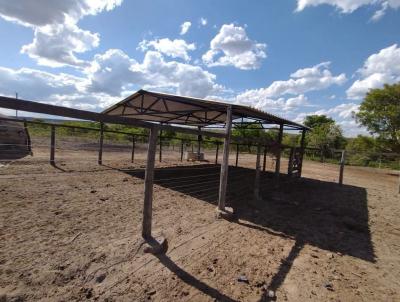 Fazenda para Venda, em Santa F� de Minas, bairro 