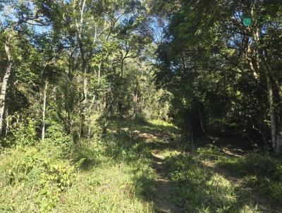 Fazenda para Venda, em , bairro ZONA RURAL, 2 dormit�rios, 1 banheiro