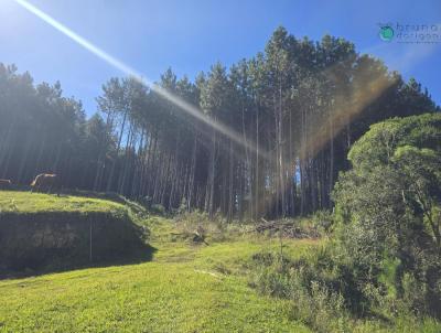 Fazenda para Venda, em Alfredo Wagner, bairro ZONA RURAL, 2 dormit�rios, 1 banheiro