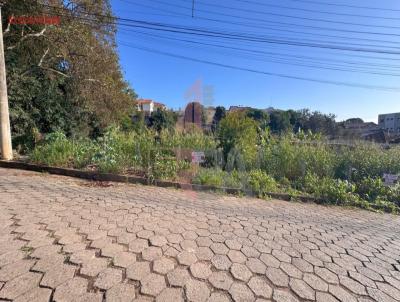 Terreno para Venda, em Areado, bairro Centro