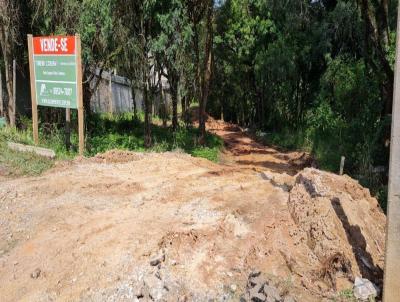 Terreno para Venda, em Almirante Tamandar�, bairro LAMENHA GRANDE