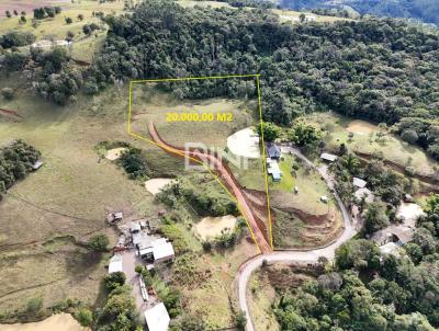 Ch�cara para Venda, em Lontras, bairro Br 470 Km 129