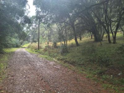 Terreno para Venda, em S�o Francisco de Paula, bairro Barragem do salto