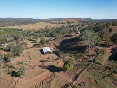 Fazenda para Venda, em Campo Verde, bairro 