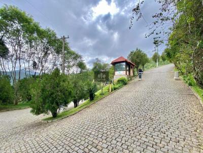 Lote para Venda, em Teres�polis, bairro Albuquerque