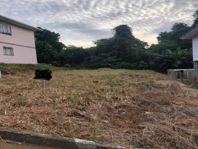 Terreno para Venda, em Conc�rdia, bairro Cristal