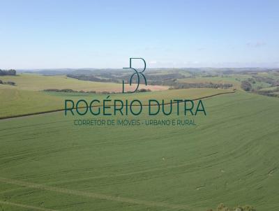 Fazenda para Venda, em Londrina, bairro Rural