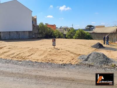 Terreno para Venda, em Itai�polis, bairro CENTRO