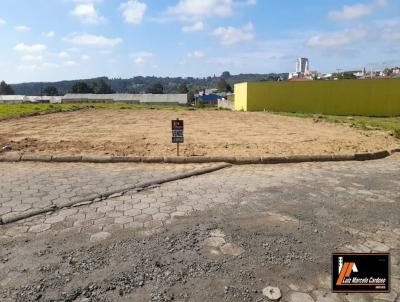 Terreno para Venda, em Itai�polis, bairro CENTRO