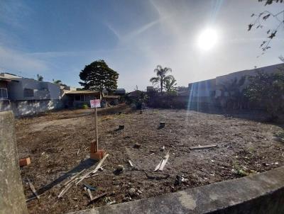 Terreno para Venda, em , bairro Jardim Da Barra