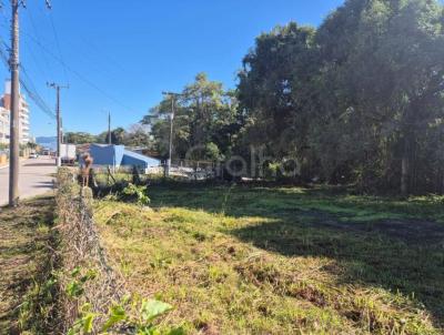 Terreno para Venda, em Florian�polis, bairro Jo�o Paulo