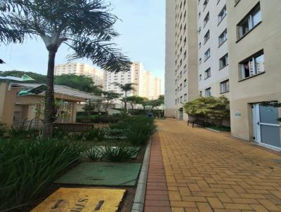 Apartamento para Venda, em S�o Paulo, bairro Cambuci, 2 dormit�rios, 1 banheiro